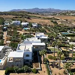 Villa Amalgam Homes Paros Ambelas