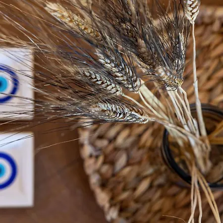 Amalgam Homes Paros * Ampelas