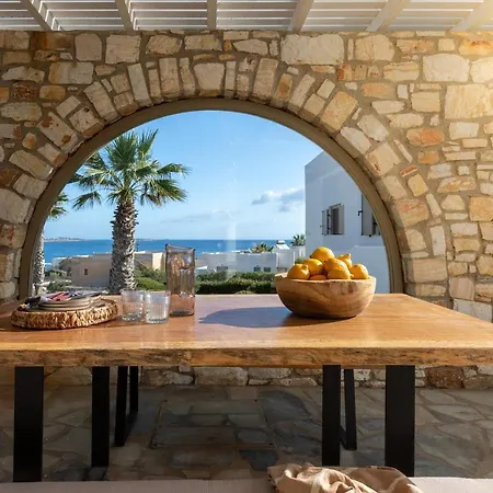 Villa Amalgam Homes Paros Ambelas