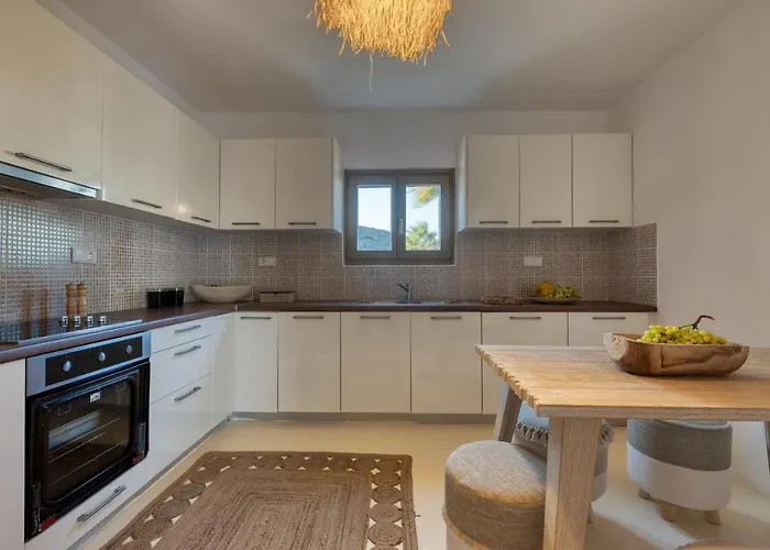 别墅 Amalgam Homes Paros *