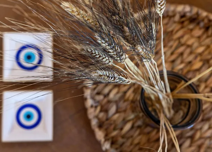 Amalgam Homes Paros * 安倍拉斯